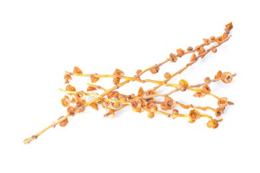 Beyaz arkaplanda izole edilmiş tarihler 