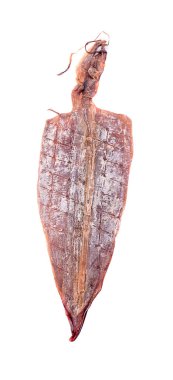 Beyaz arkaplanda kurumuş mürekkep balığı 