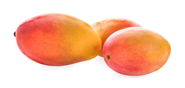 Mango aislado sobre fondo blanco — Foto de Stock