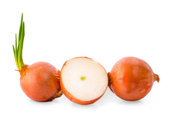 Onions isolated on white background — Stock Photo, Image