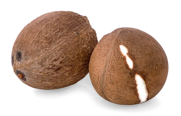 Kokosnöt isolerad på vit bakgrund — Stockfoto