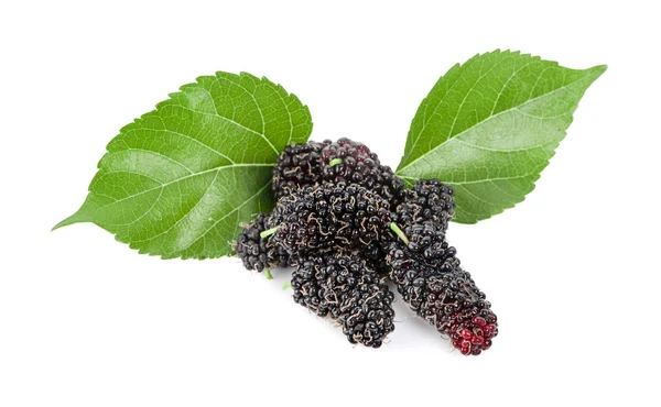 Buah mulberry dan daun murbei pada latar belakang putih — Stok Foto