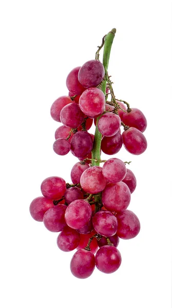 白地に隔離された熟した赤ブドウ — ストック写真