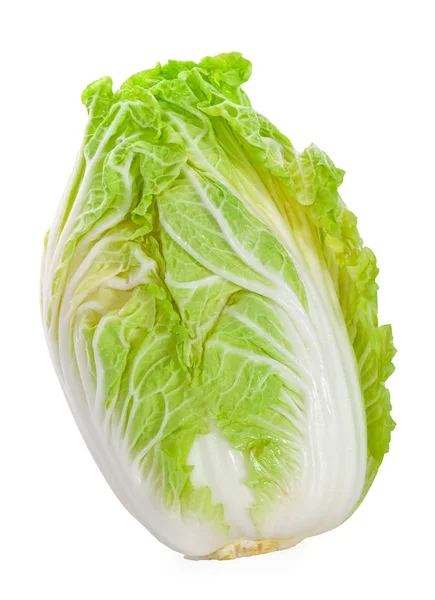 白色背景的新鲜大白菜 — 图库照片
