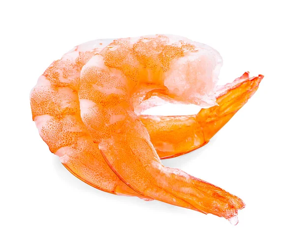 Beyaz arka planda karidesler