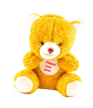 Oyuncak ayıcık beyaz arkaplanda izole edildi 