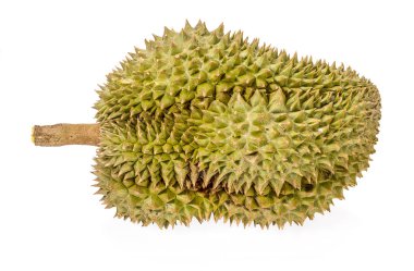 Durian beyaz arkaplanda izole edildi