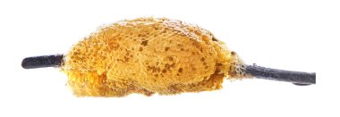 Sarı bal peteği dilimi beyaz arkaplanda izole edilmiş.