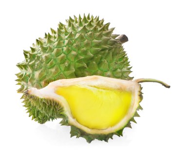 Durian beyaz arkaplanda izole edildi