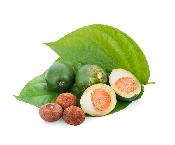 Betel yaprağındaki taze betel fındığı beyaz arka planda izole edilmiş. 