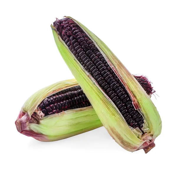 Friss lila kukorica izolált fehér alapon — Stock Fotó