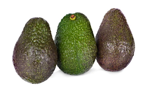 Avocado con foglia di avocado isolata su sfondo bianco. — Foto Stock