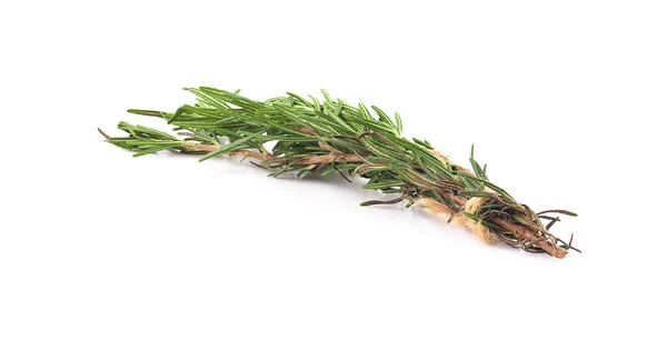 Rosemary Isolated White Background — Stock Photo, Image