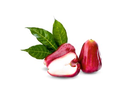 gül elması beyaz arkaplanda izole