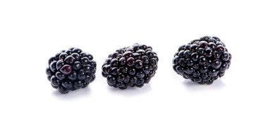 Böğürtlenler beyaz grupta izole edilmiş