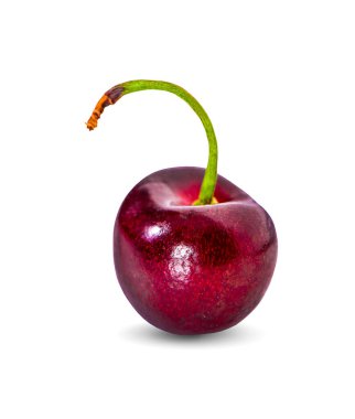 Beyaz sırtlı kirazlar izole edilmiş.