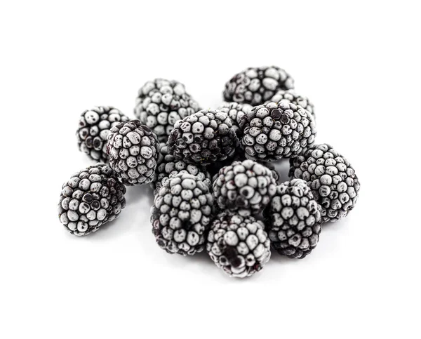 Donmuş böğürtlenler beyaz arkaplanda izole