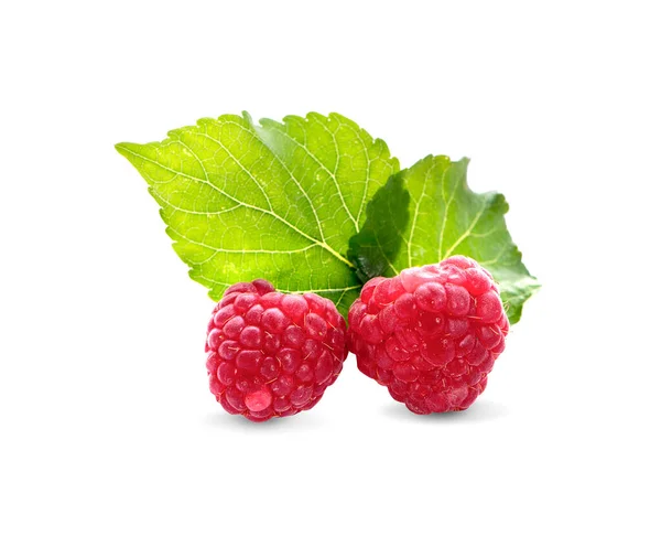 Himbeeren Isoliert Auf Weißem Hintergrund — Stockfoto