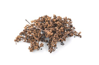 Beyaz arka planda Zanthozylum limonella Alston