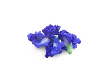 Kelebek bezelyesi çiçekleri beyaz arka planda izole edilmiş