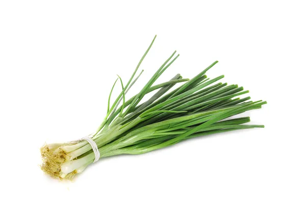 Spring Onion Isolated White Background — Stock Photo, Image