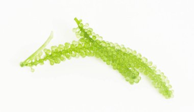 Beyaz arkaplanda deniz yosunu (yeşil havyar)