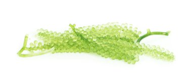 Beyaz arkaplanda deniz yosunu (yeşil havyar)