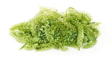 Beyaz arkaplanda deniz yosunu (yeşil havyar)