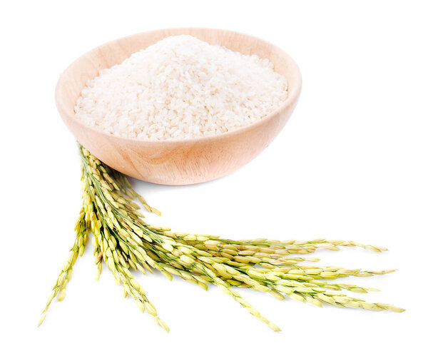 Ear of rice isolated on white background
