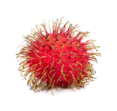 Rambutan arka grubunda izole edilmiş.