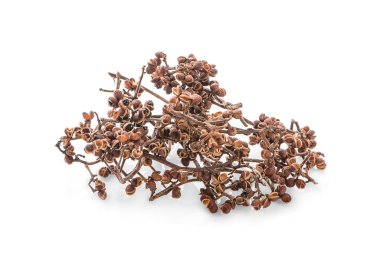 Zanthozylum limonella Alston beyaz arka planda izole edilmiş