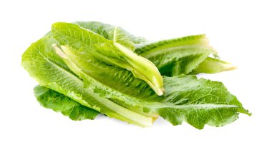 Beyaz arkaplanda izole edilmiş buzdağı marulu