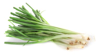 Beyaz sırtüstü yeşil soğan.