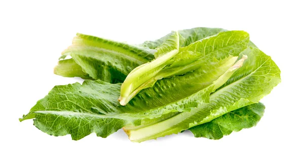 Lechuga Iceberg Aislada Sobre Fondo Blanco — Foto de Stock