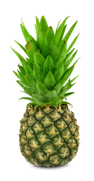 Ananas Geïsoleerd Witte Achtergrond — Stockfoto