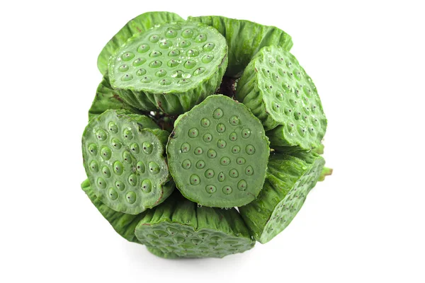 lotus seeds an isolated on white background.