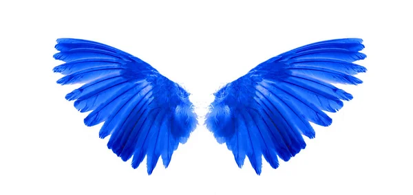 Крылья Ангелов Изолированы Белом Фоне — стоковое фото