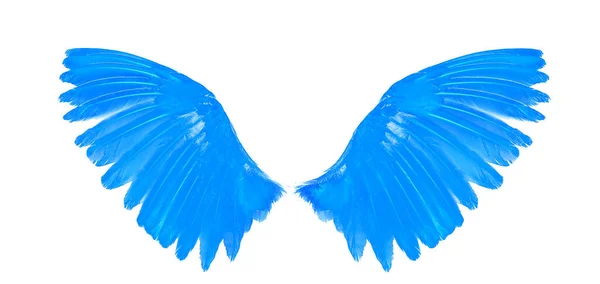 天使の翼は白地に隔離され — ストック写真