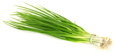 Beyaz arkaplanda yeşil soğan izole edildi