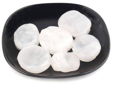 Beyaz arka planda toddy Palm