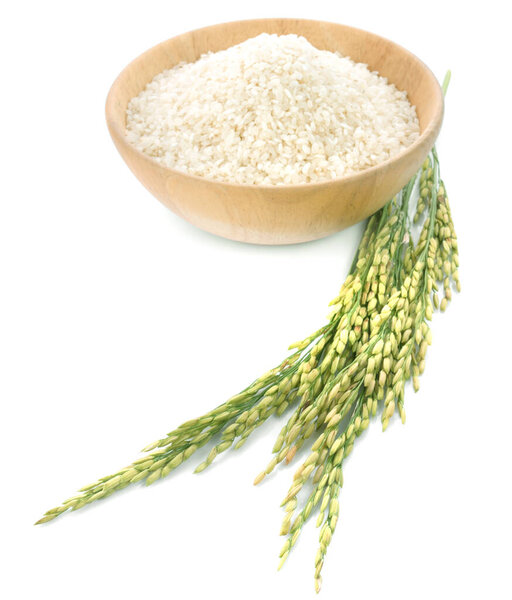 Ears of rice isolated on white background
