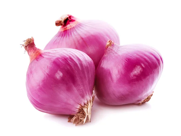 Red Onion Isolated White Background — Stock Photo, Image