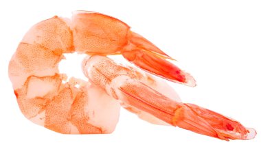 Beyaz bir arka grubunda karidesler