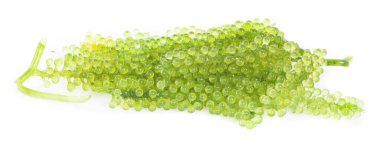 Beyaz arkaplanda deniz yosunu (yeşil havyar)