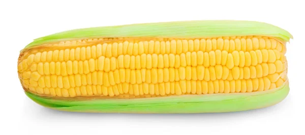 Kukorica Elszigetelt Egy Fehér Backgroun — Stock Fotó