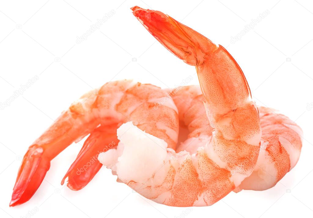 shrimps on a white backgroun