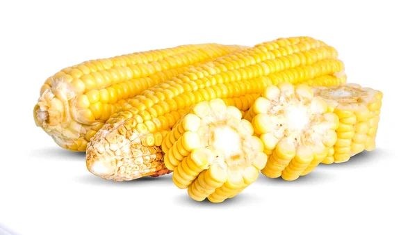 Corn Isolated White Background — Stock Photo, Image