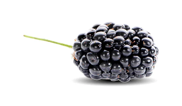 从白色背景分离出来的黑莓 — 图库照片