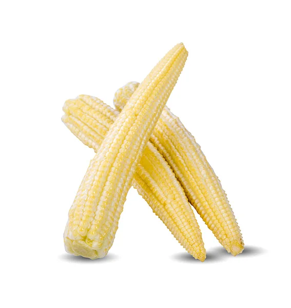 Baby Corn Vit Bakgrund — Stockfoto