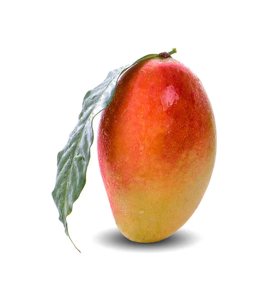 Drop Water Mango Isolated White Background — Stock Photo, Image